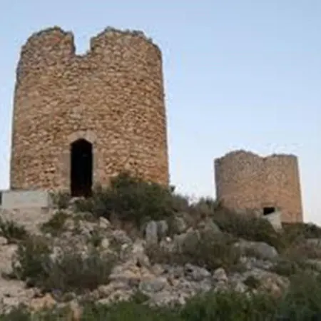 Zarzas I * Denia